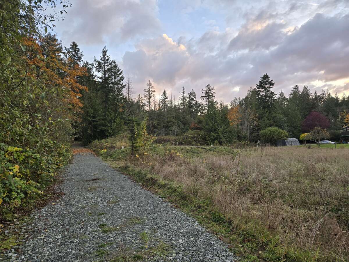 View from Northeast corner looking South