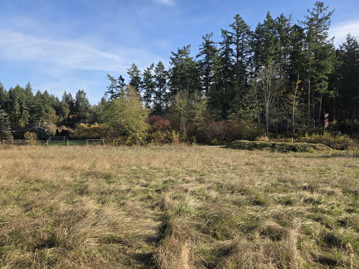 View from Northwest corner looking Southeast