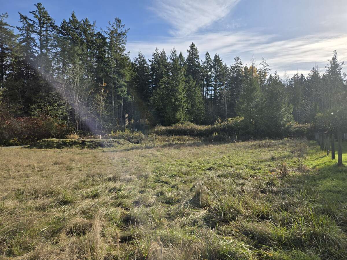 View from Northwest corner looking South