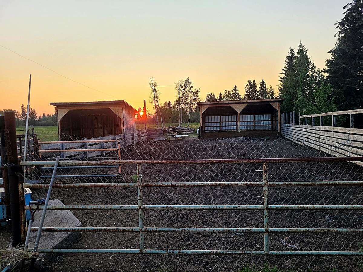 animal enclosures