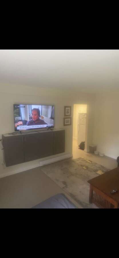 Downstairs Livingroom/bedroom