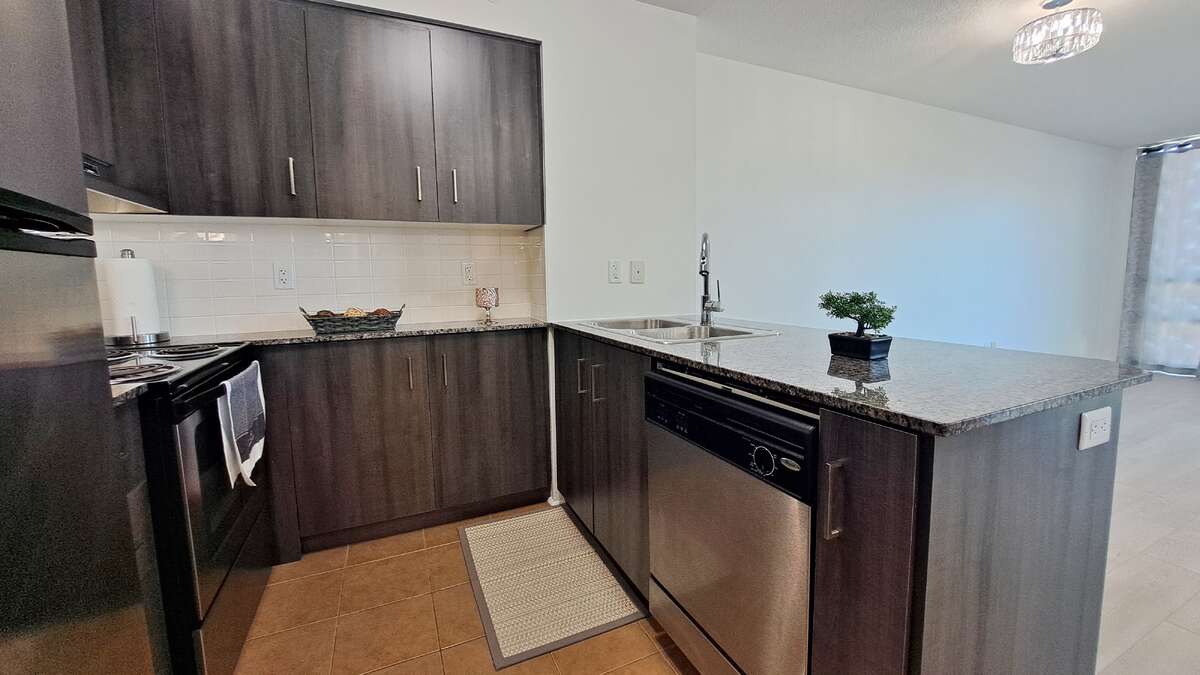 Kitchen -Quartz Counter - New Cabinet - SS Appliances