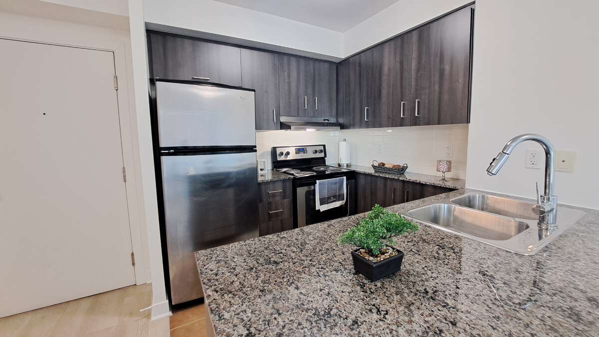 Kitchen - New Cabinet - Quartz Counter - SS Appliances