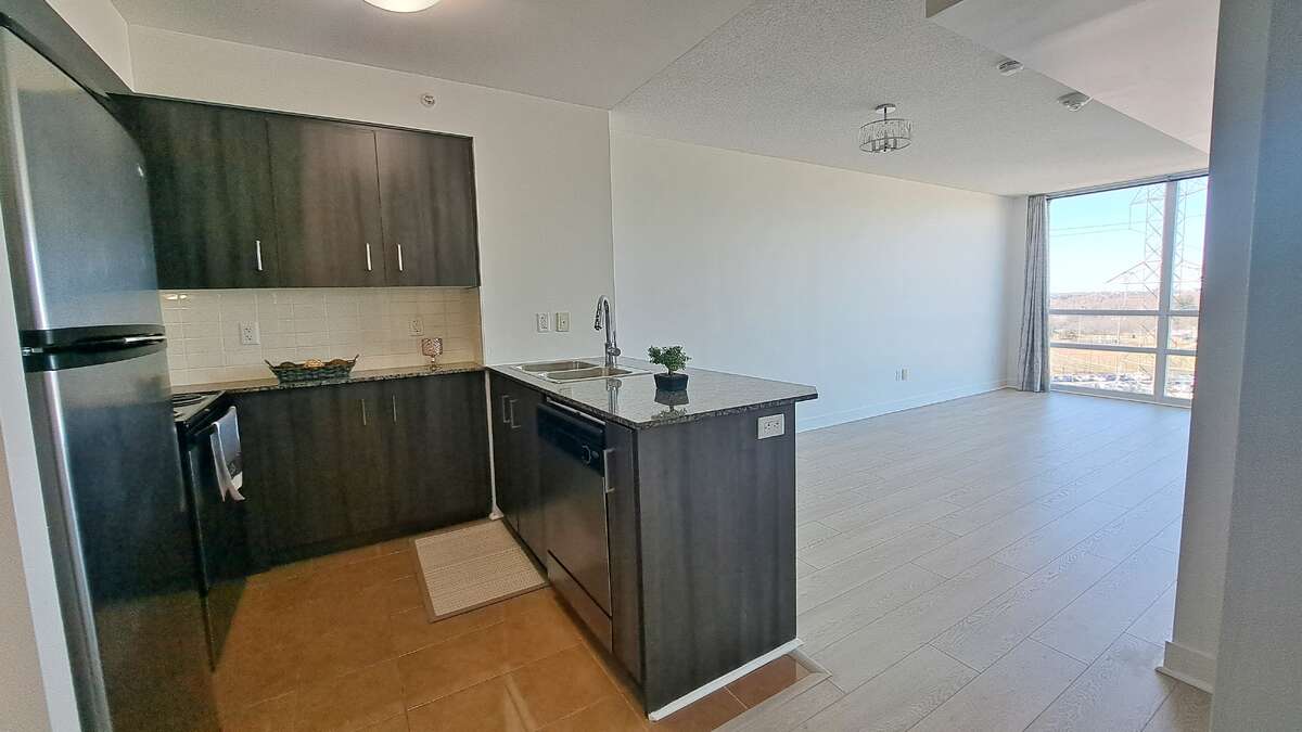 Kitchen -Quartz Counter - New Cabinet - SS Appliances