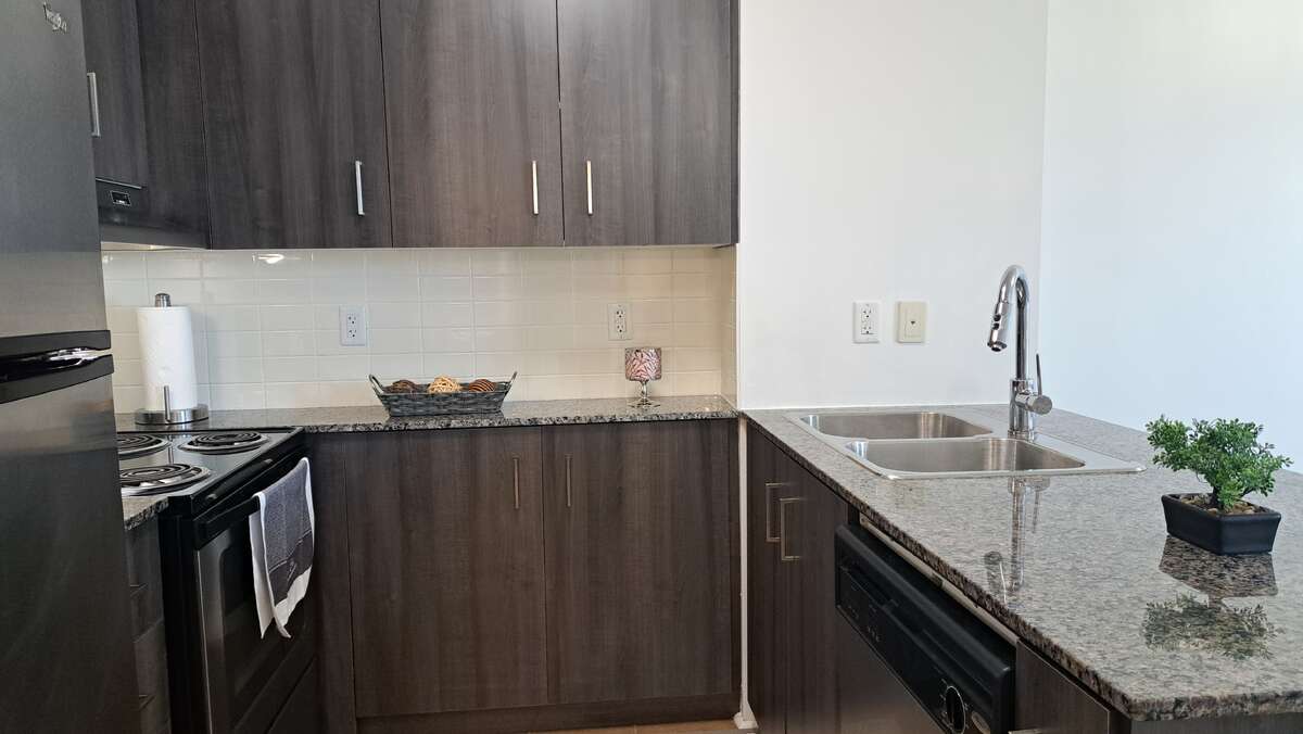 Kitchen -Quartz Counter - New Cabinet - SS Appliances