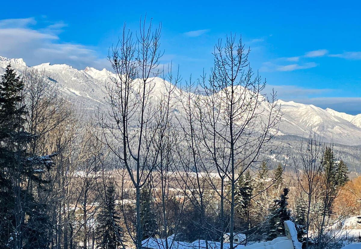 Purcell Mountains - Picture taken from lower plateau