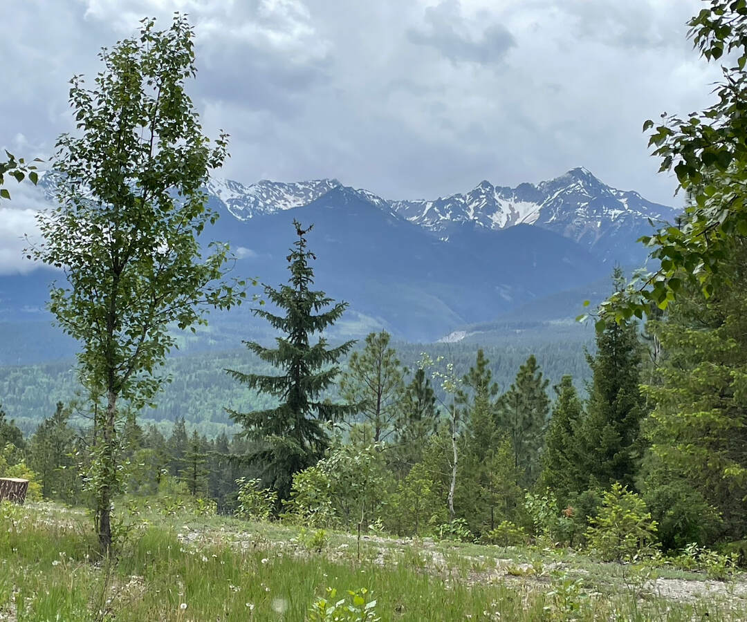 Purcell Mountains - Picture taken from the upper plateau on the lot