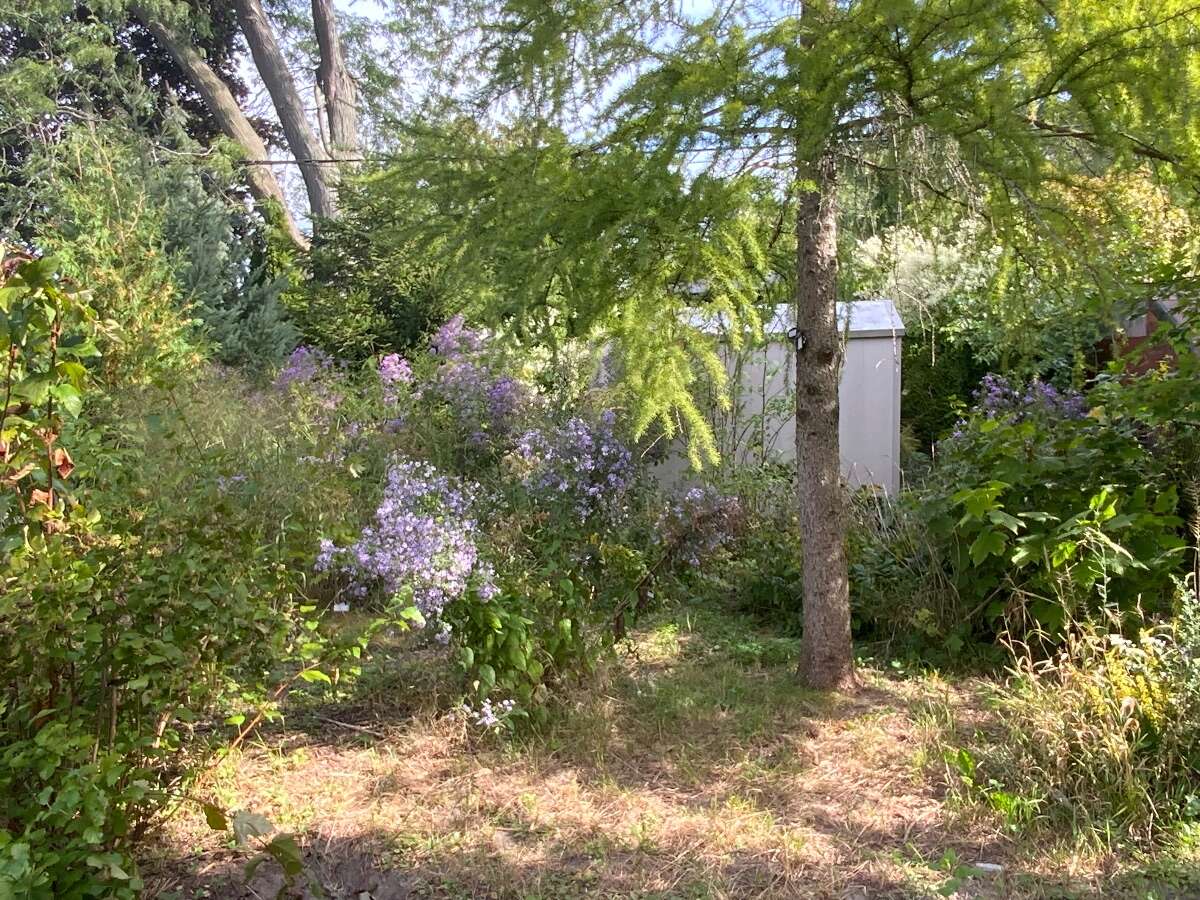 Nature in the City 