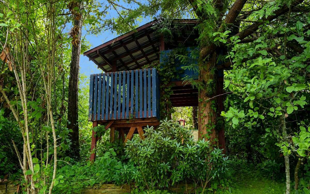 0.78 Acre Ocean-View Character Home + Investment