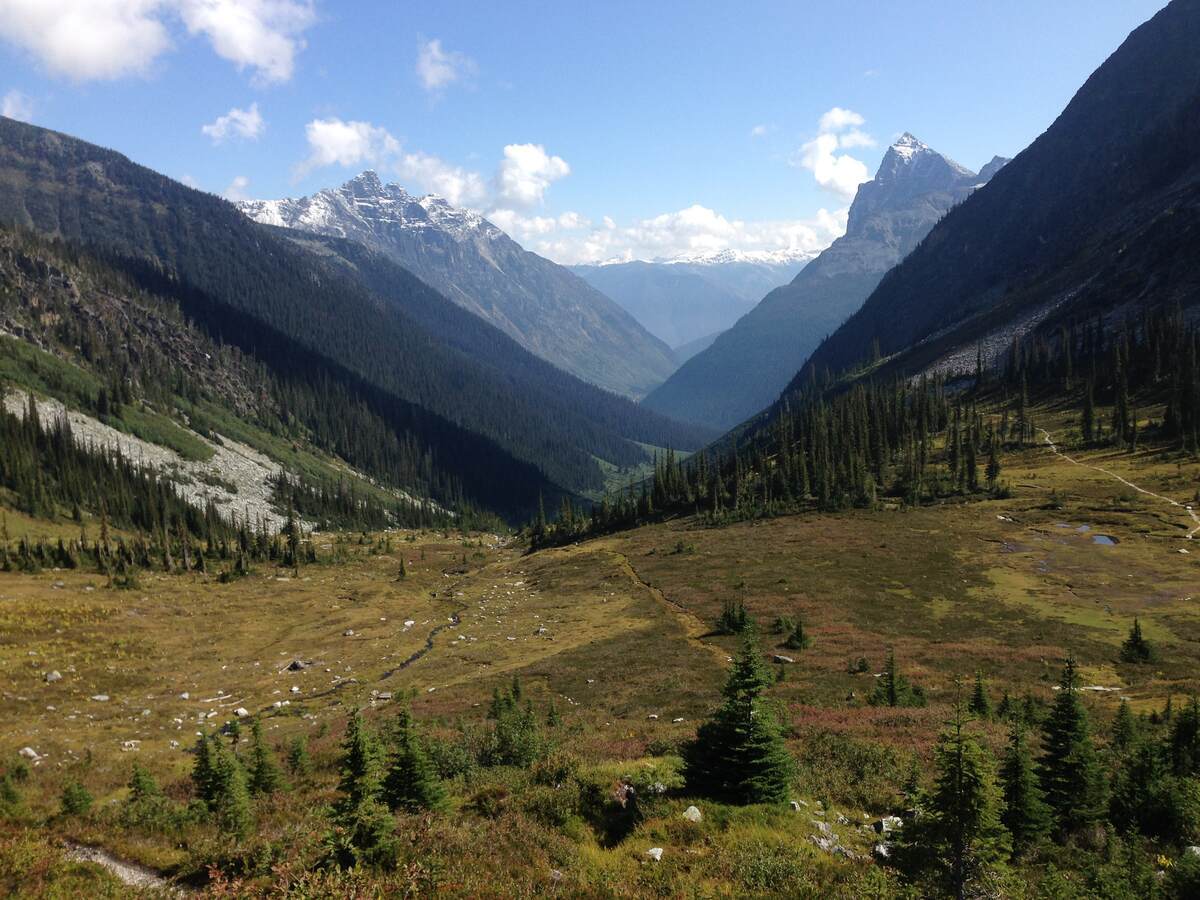 Connaught Creek, Glacier National Park, BC - 45 min drive.