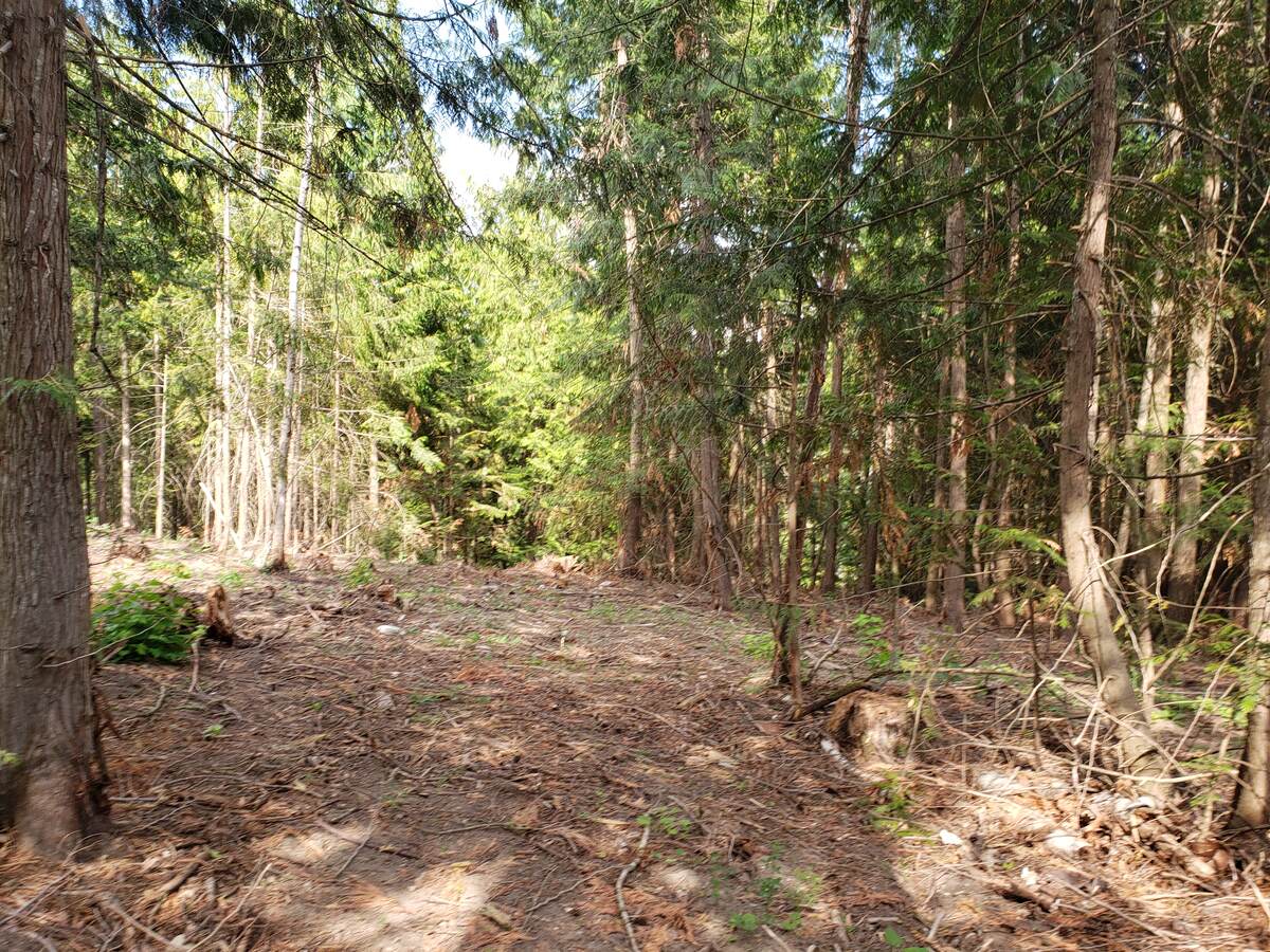 Vacant Land For Sale in Enderby, BC