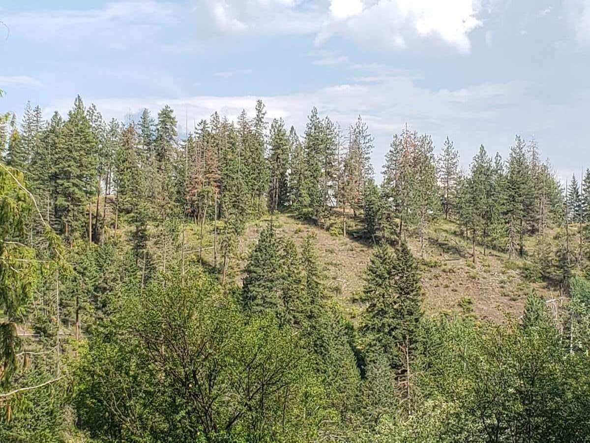 Vacant Land For Sale in Enderby, BC