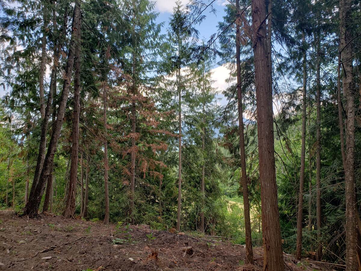 Vacant Land For Sale in Enderby, BC