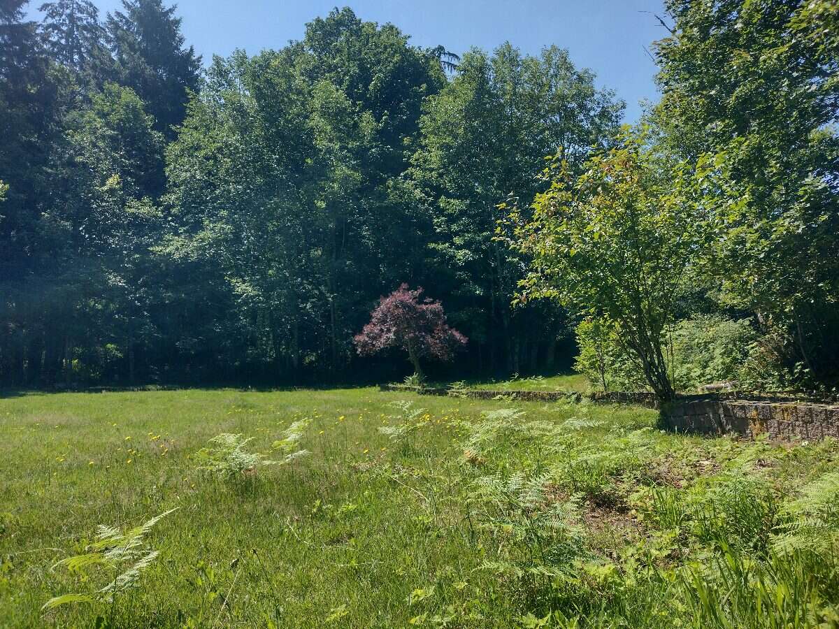 955 Despins Rd