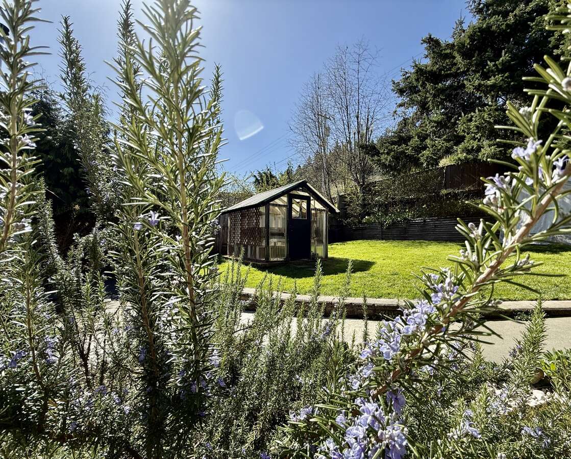Greenhouse in upper yard.