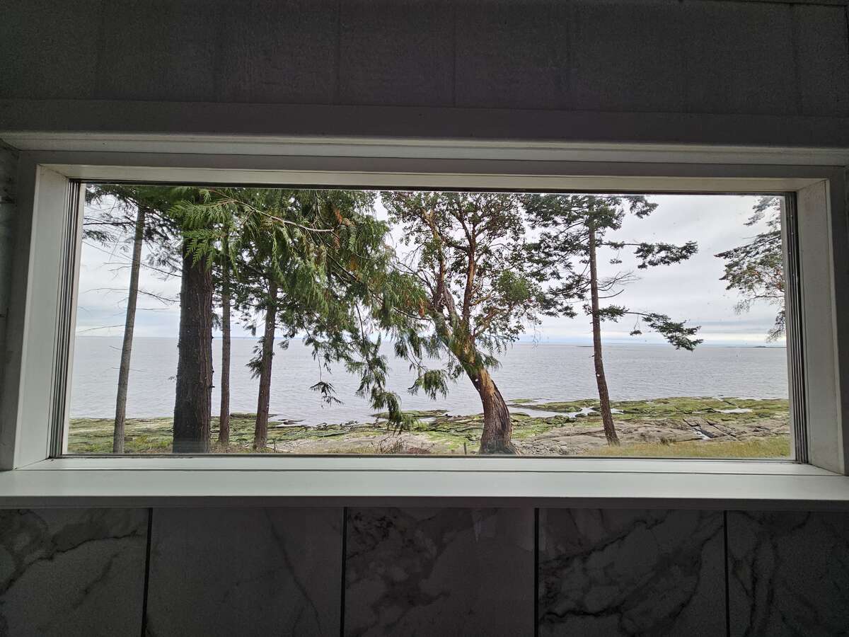 View from Shower