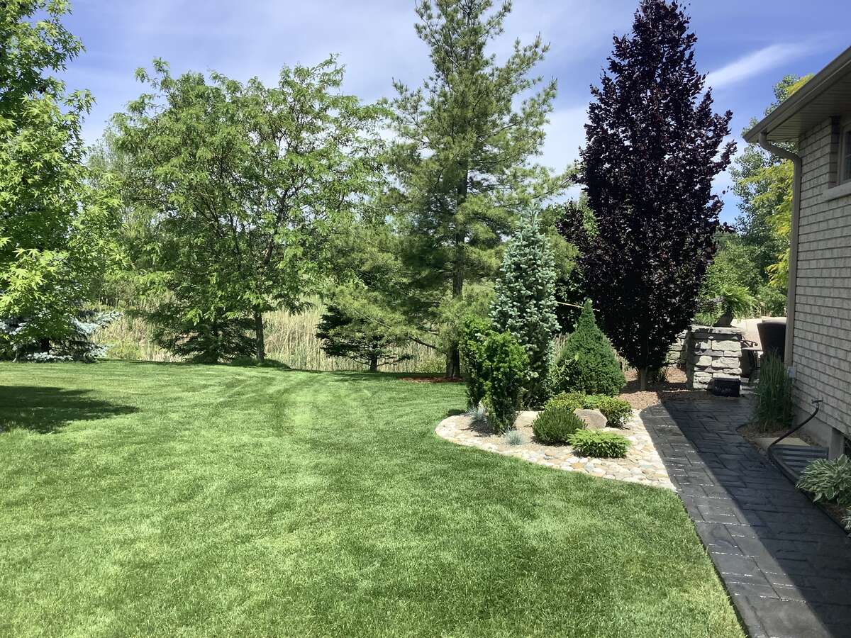 Side yard walkway