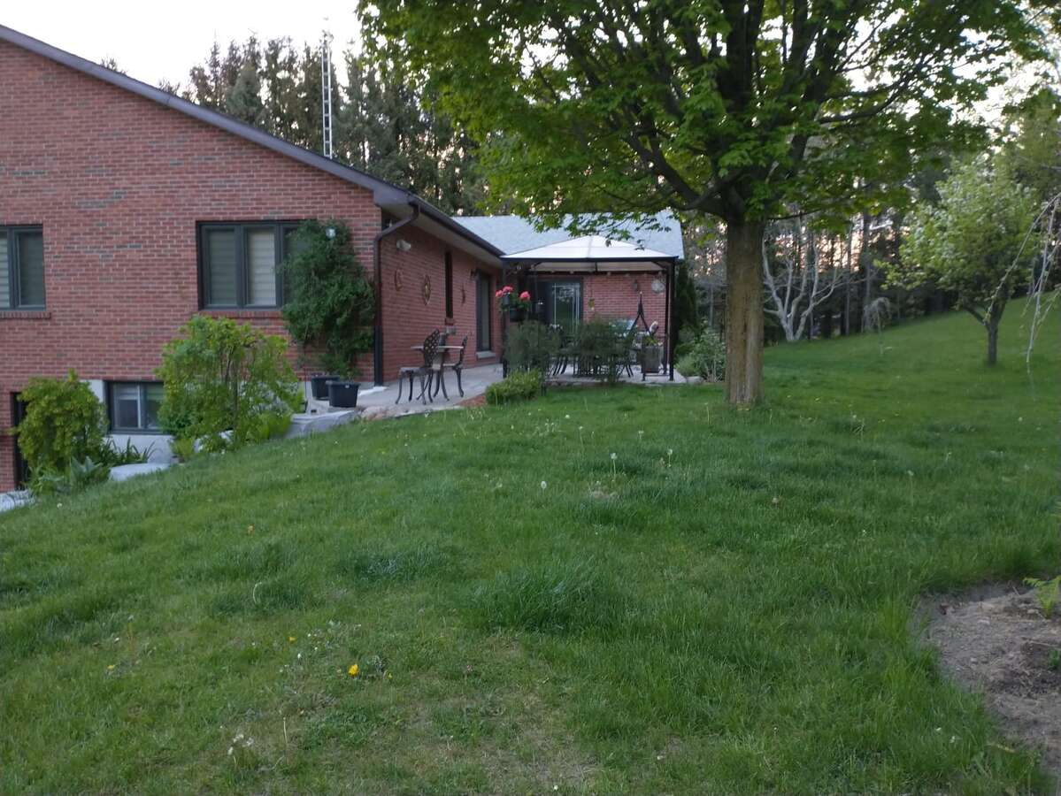 Patio 3