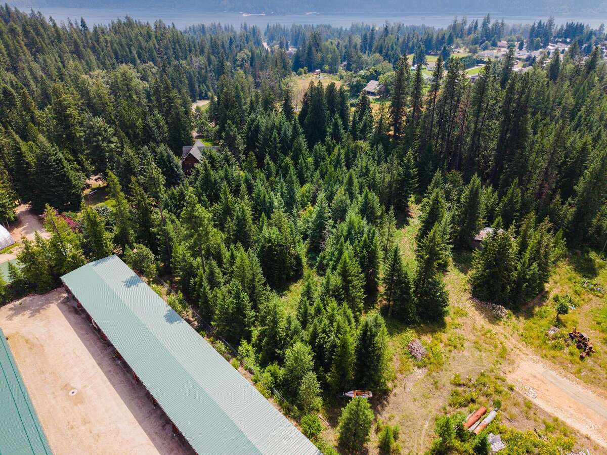 1.07 acres of flat treed land near Nelson