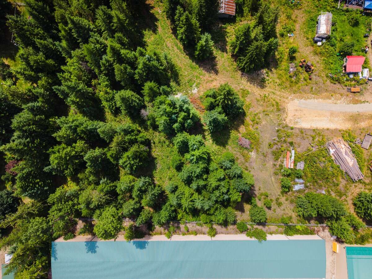 1.07 acres of flat treed land near Nelson