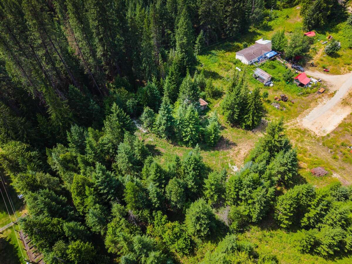 1.07 acres of flat treed land near Nelson