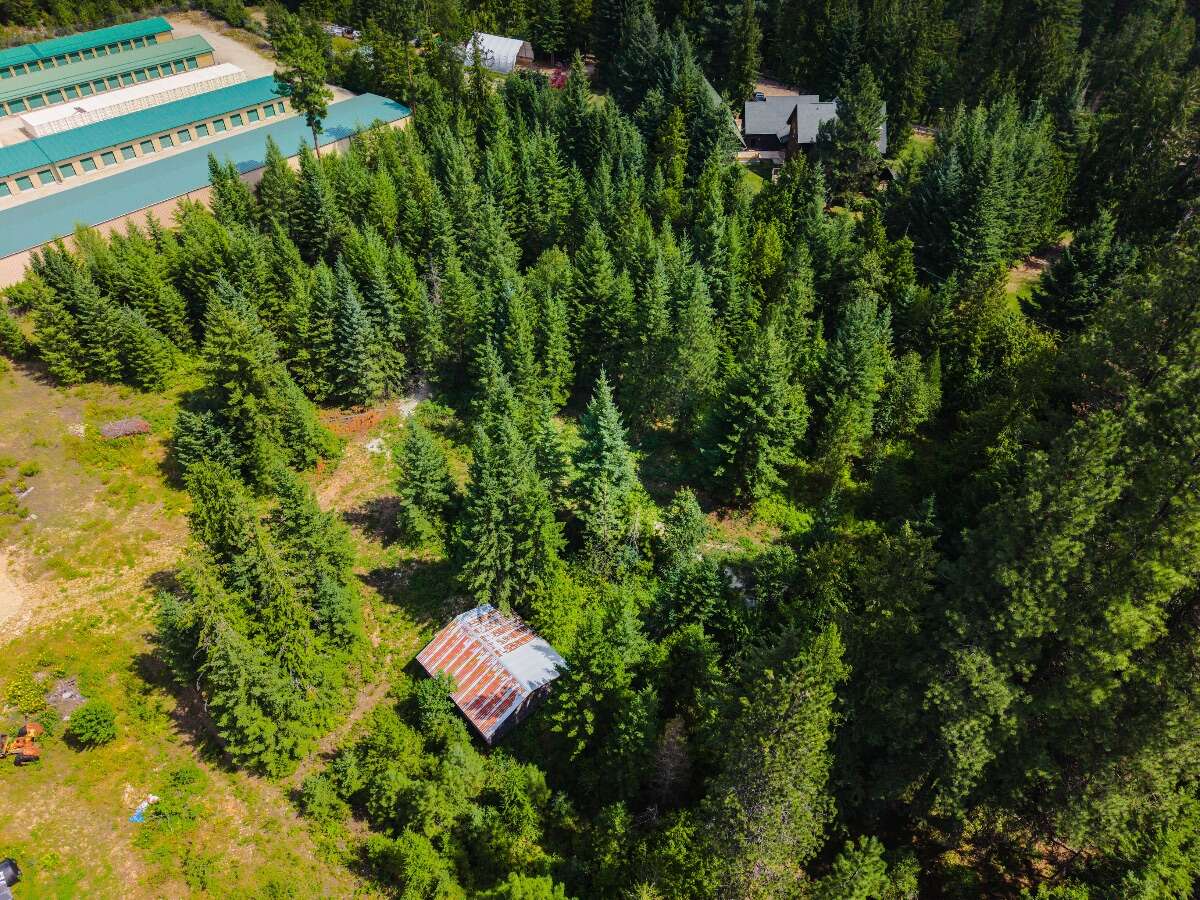 1.07 acres of flat treed land near Nelson