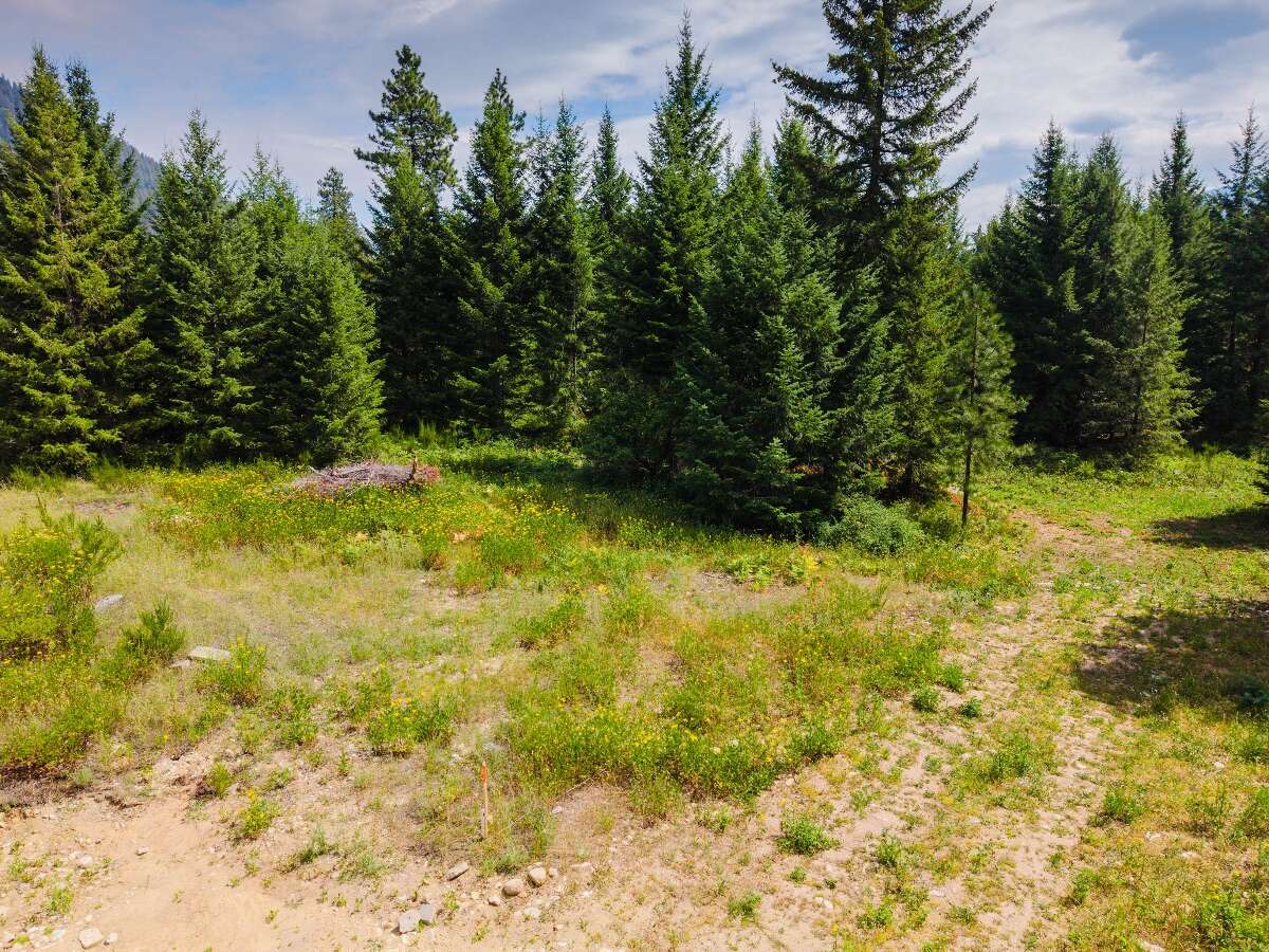 1.07 acres of flat treed land near Nelson