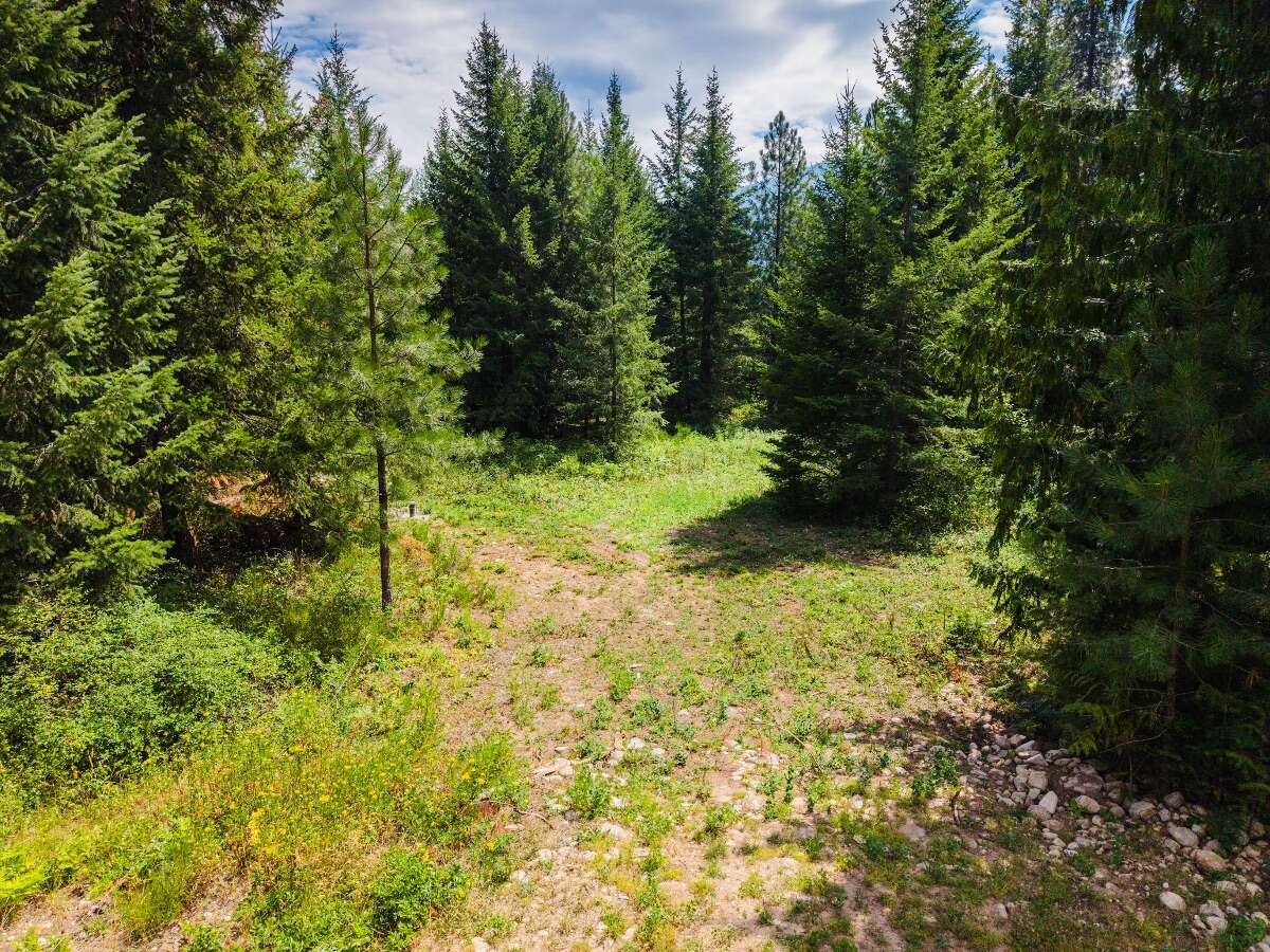 1.07 acres of flat treed land near Nelson