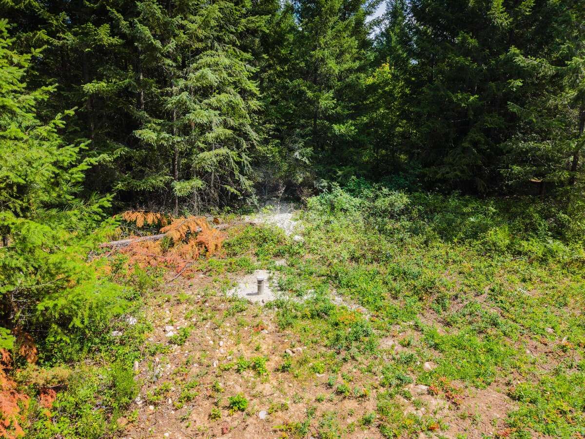 1.07 acres of flat treed land near Nelson
