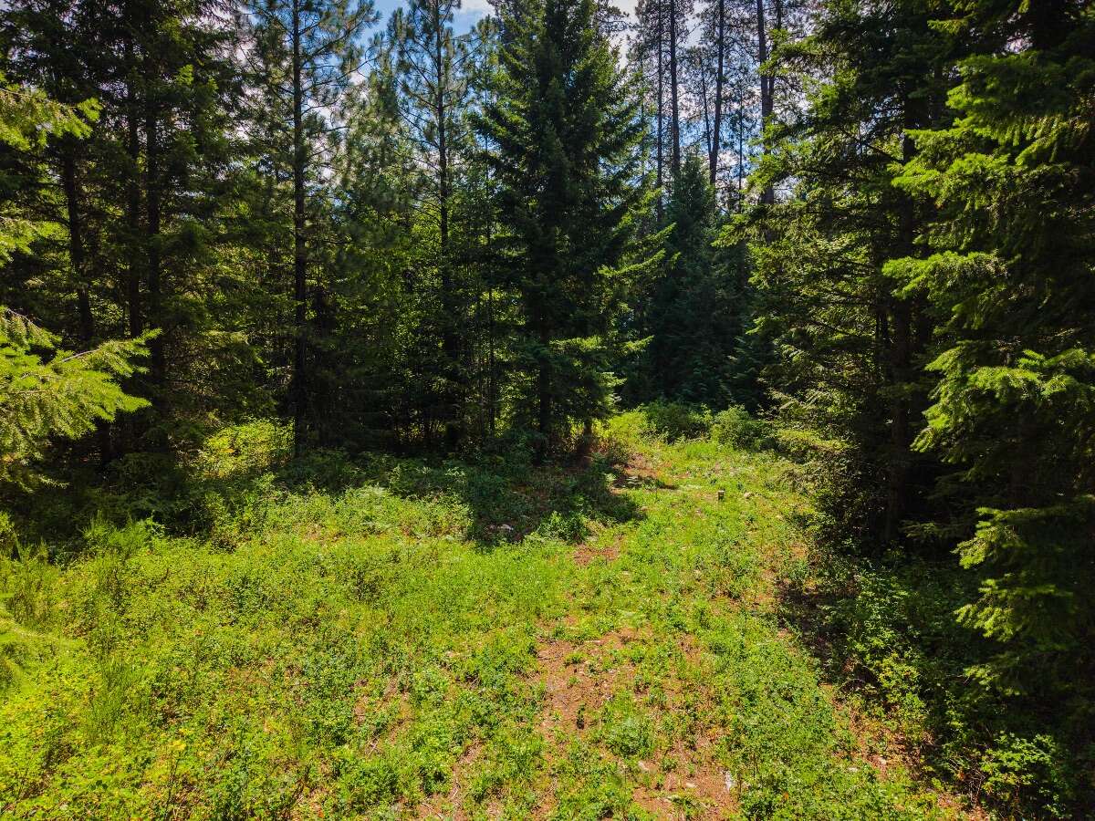 1.07 acres of flat treed land near Nelson