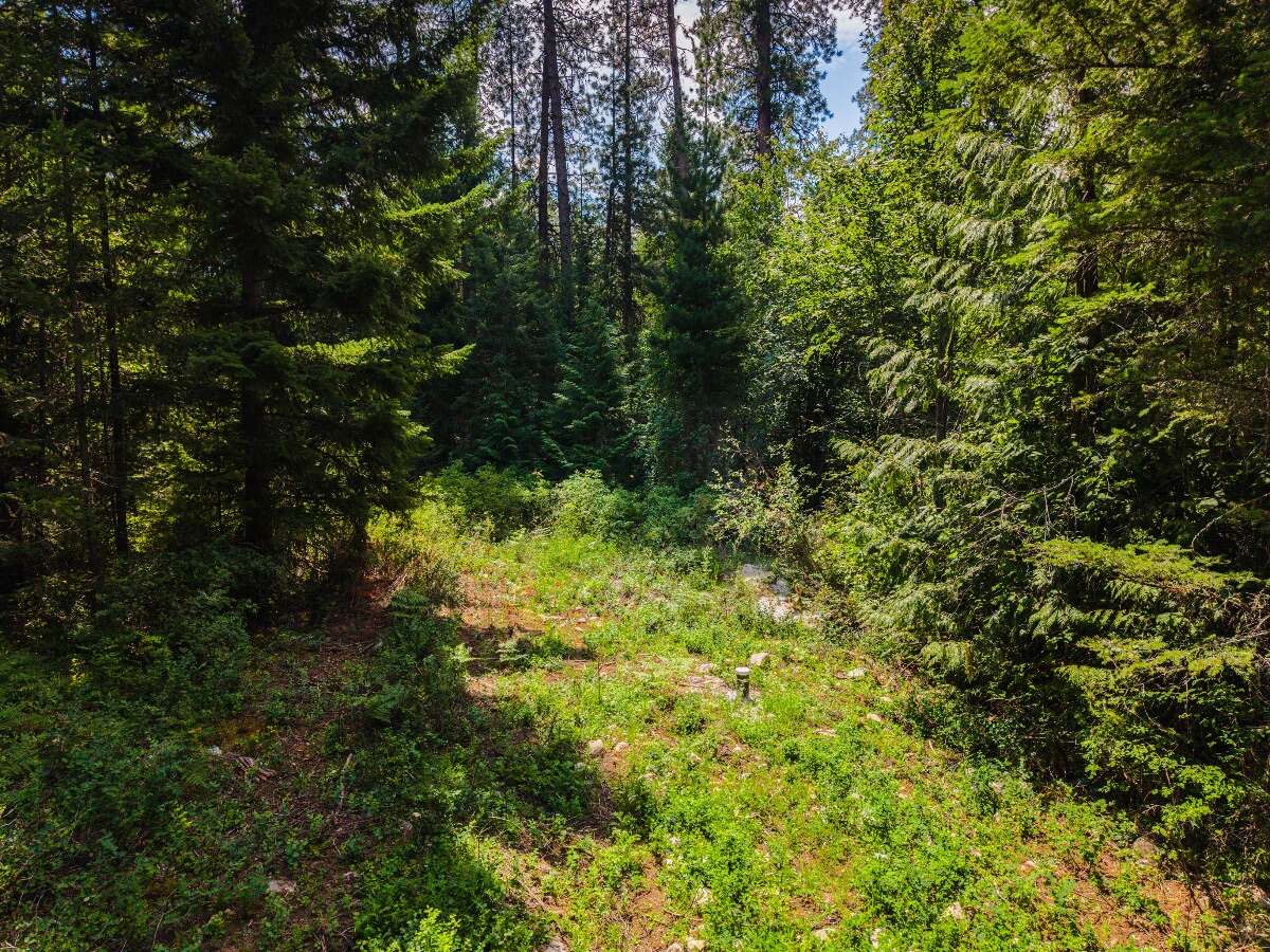 1.07 acres of flat treed land near Nelson