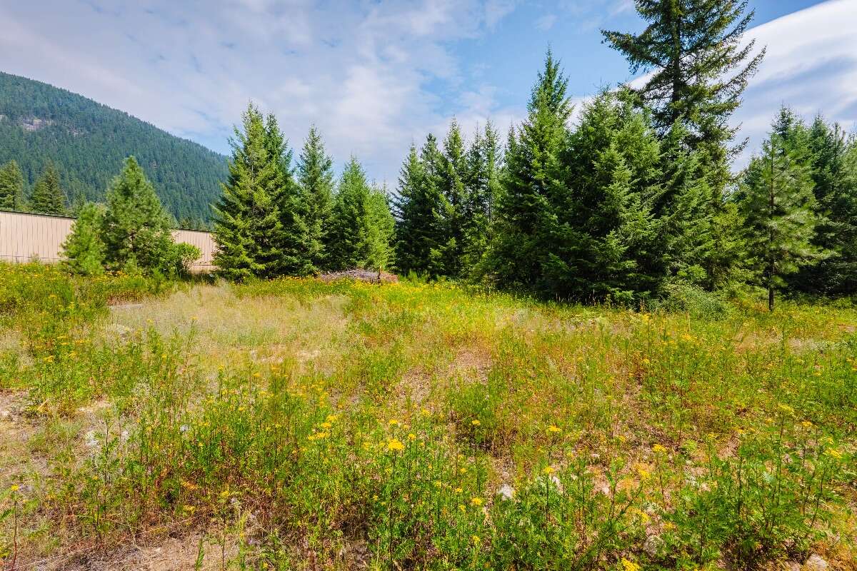 1.07 acres of flat treed land near Nelson