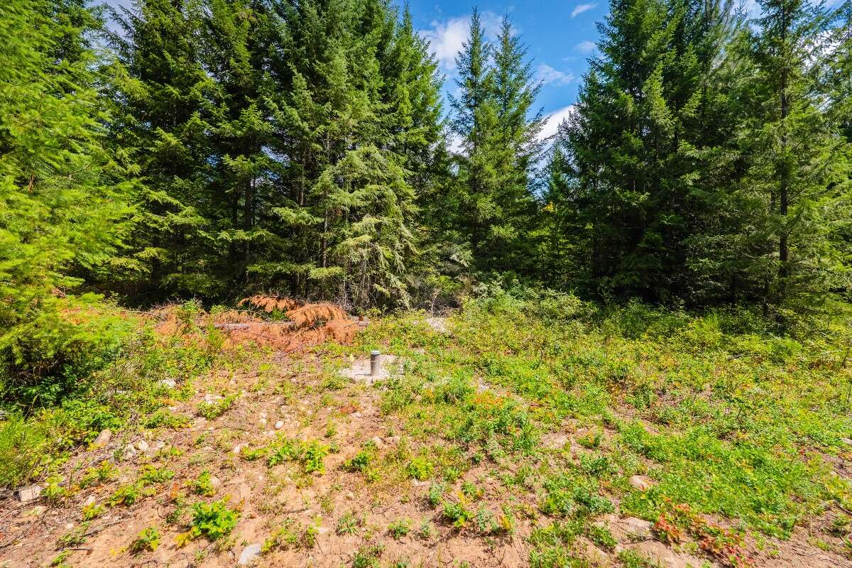 1.07 acres of flat treed land near Nelson