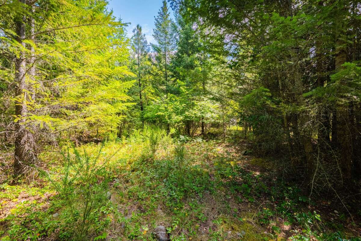 1.07 acres of flat treed land near Nelson