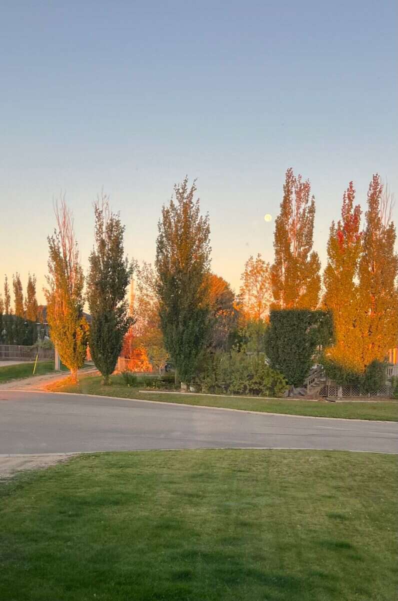 Birch Hills Bungalow