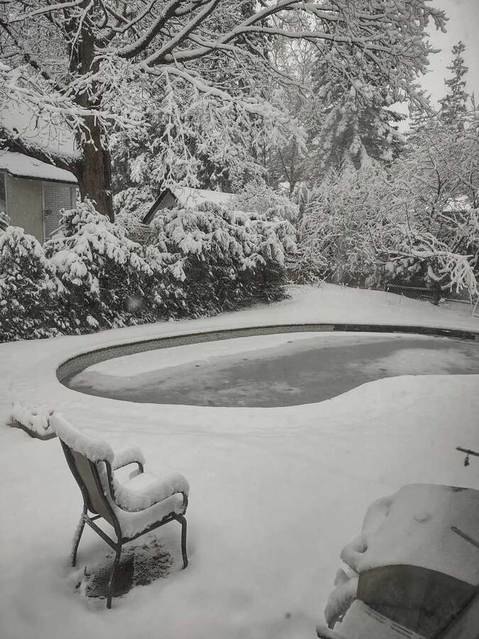 Hidden Gem in Prestigious Rockcliffe Park