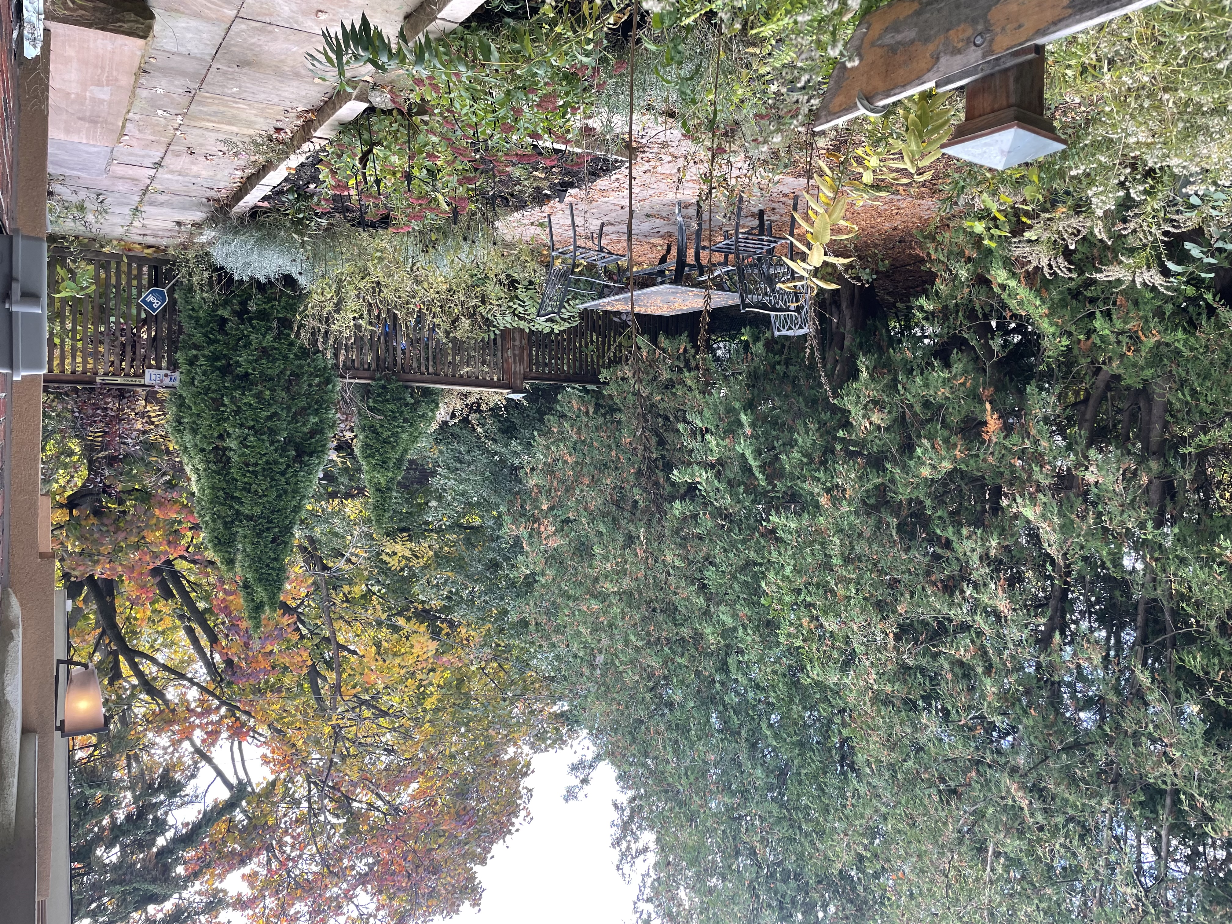 MIDTOWN  URBAN  OASIS
