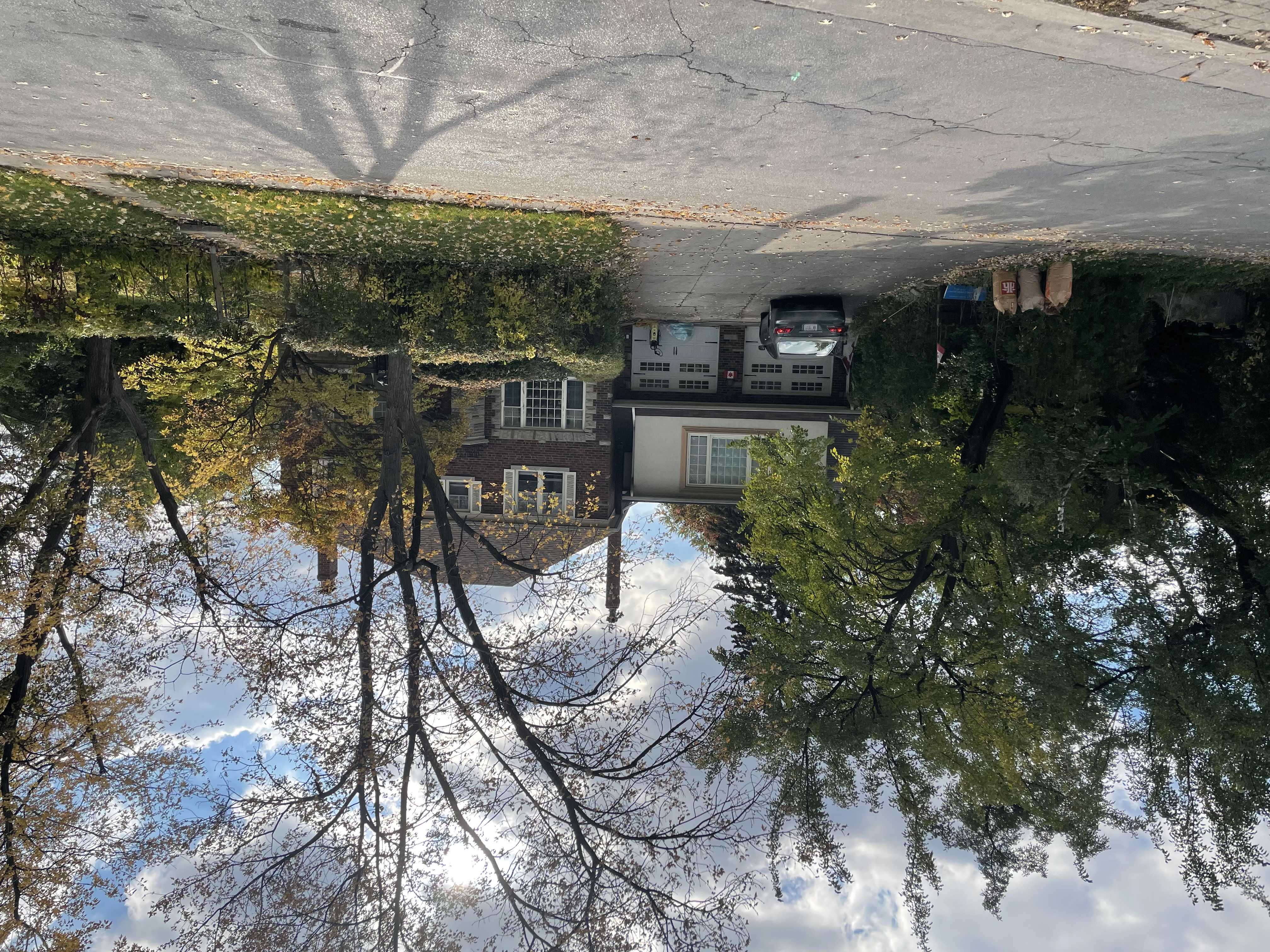 MIDTOWN  URBAN  OASIS