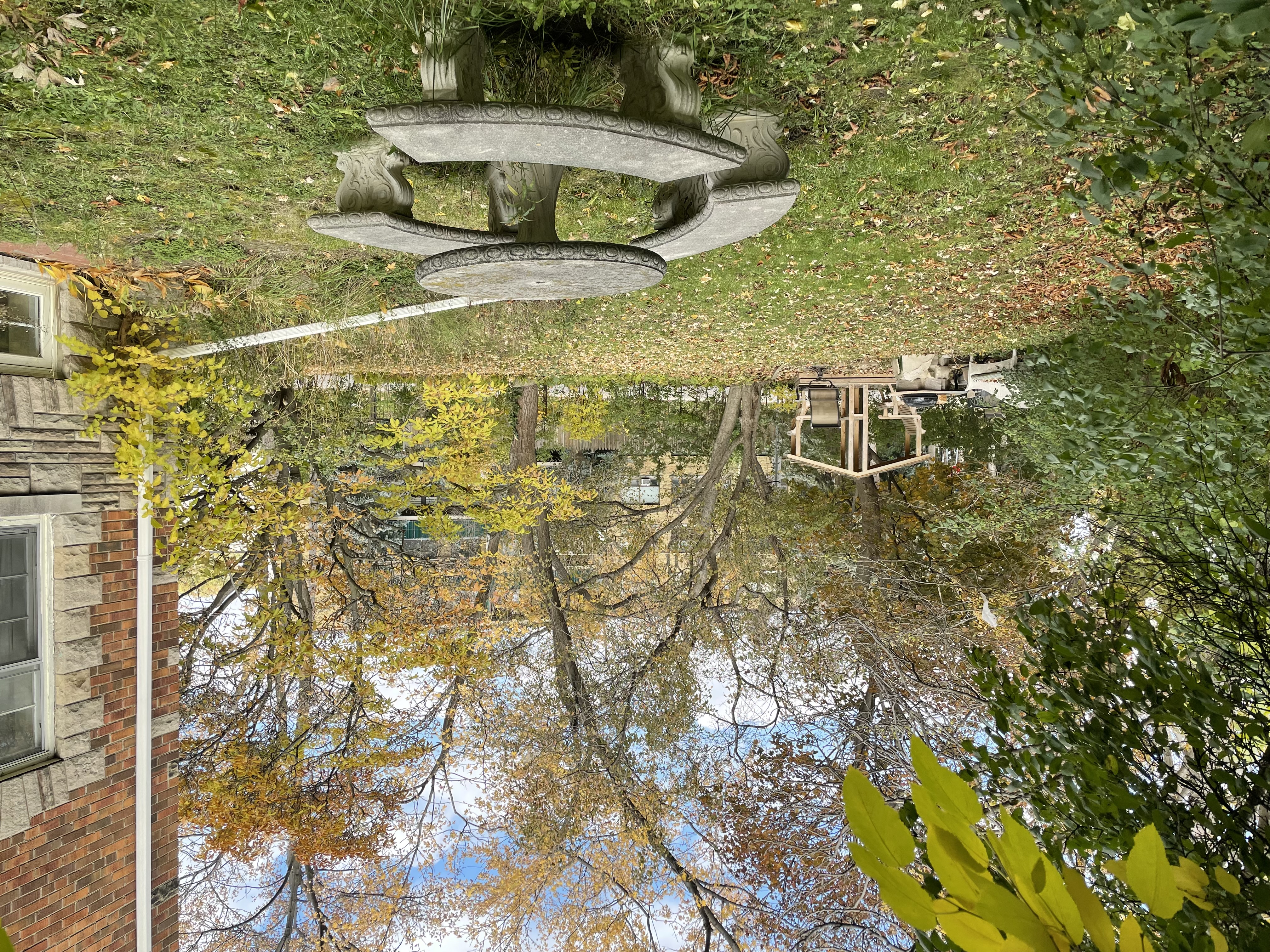 MIDTOWN  URBAN  OASIS