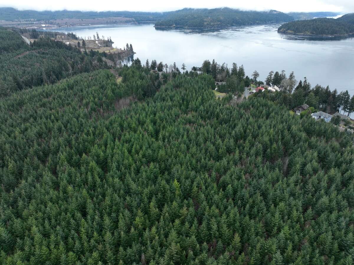 Rural Acreage in Race Point 