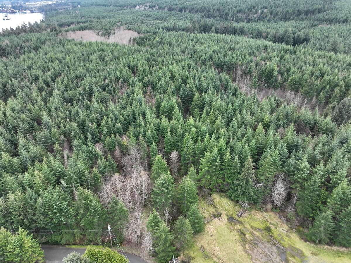 Rural Acreage in Race Point 