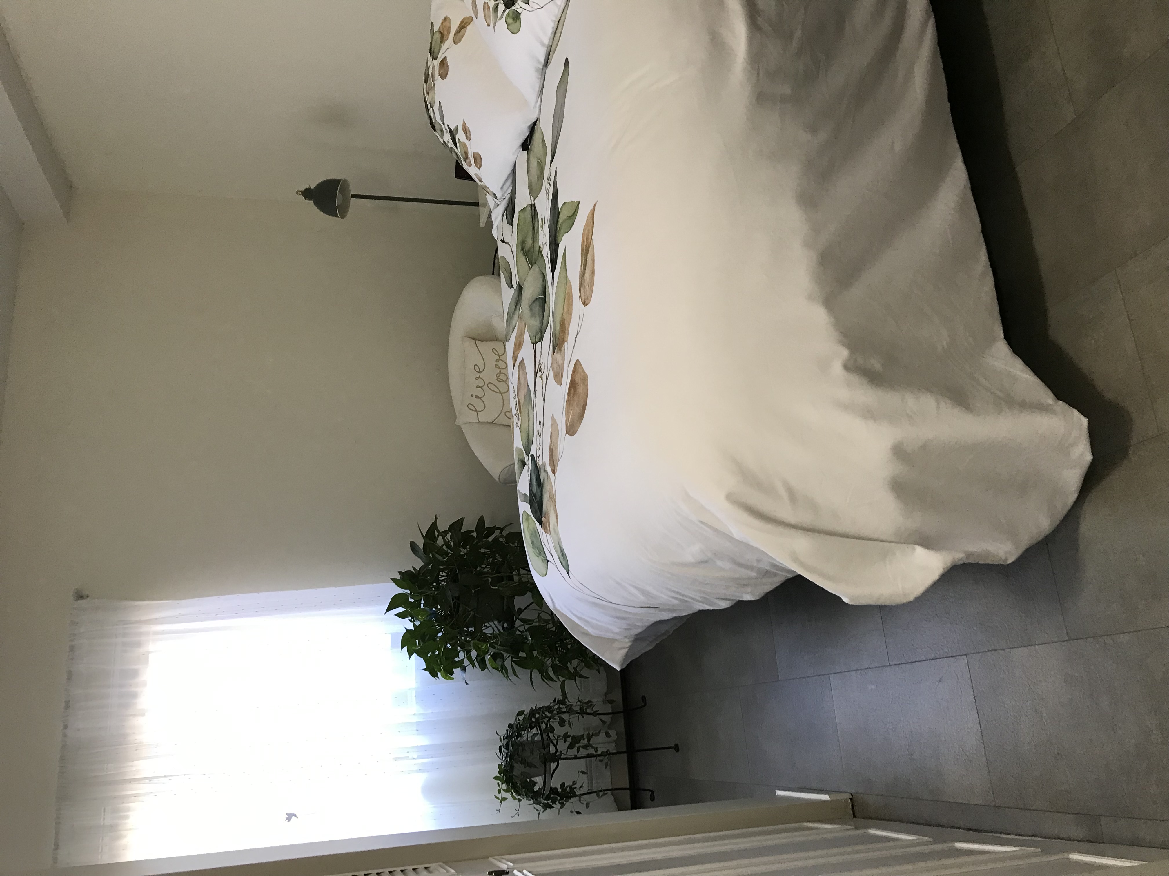 One Bedroom Apartment 
