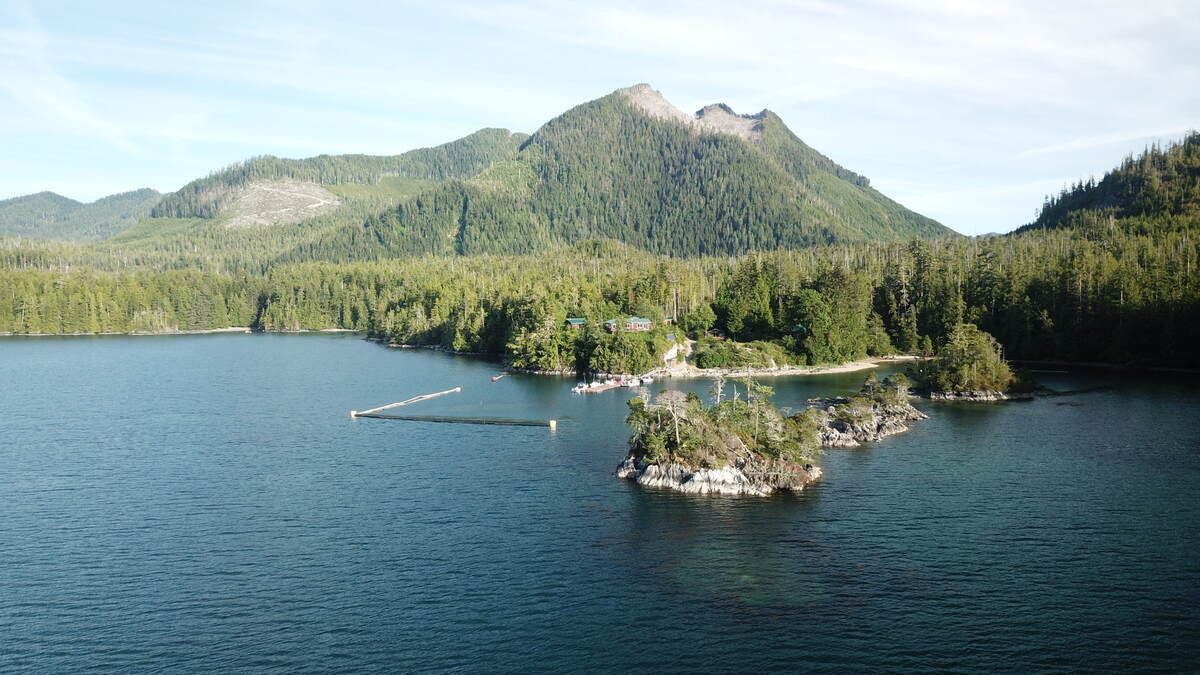 Looking south from Esperanza Inlet.  Flynn's Cove Cabins. Rosa Mt.