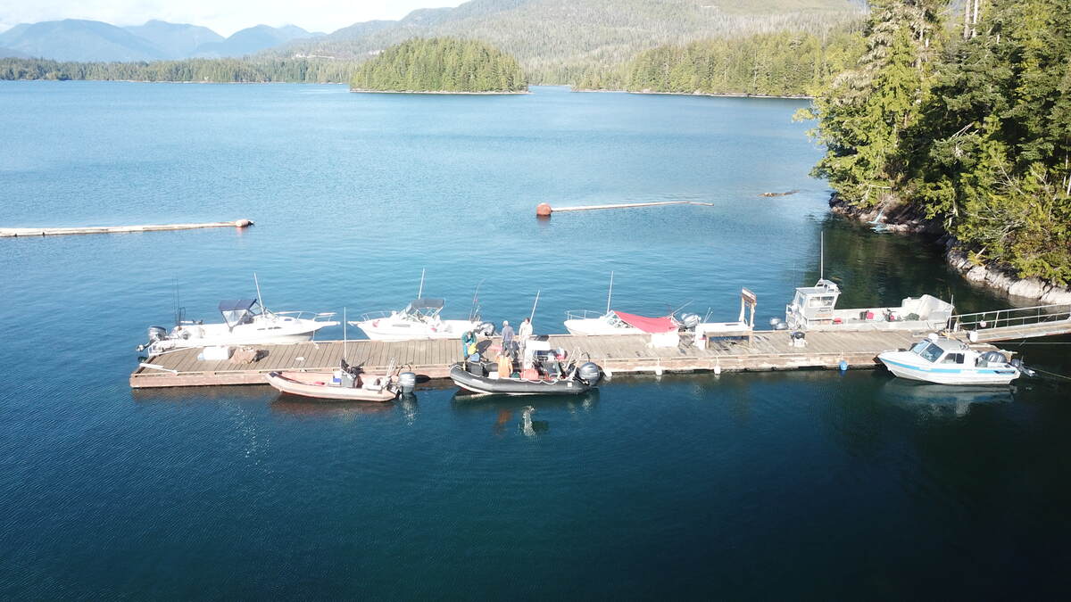 Flynn's Cove dock