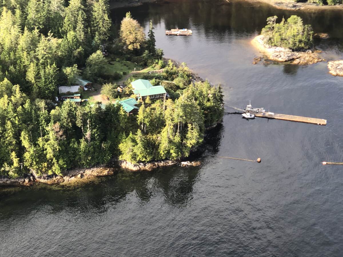 Overhead of Flynn's Cove Cabins