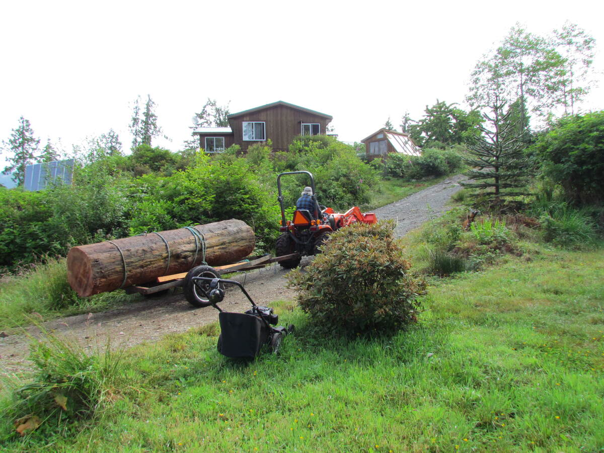 Rescuing logs for lumber and firewood