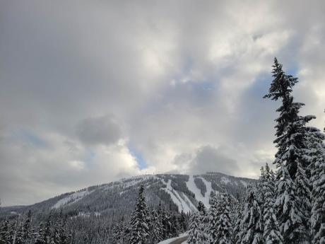 Vacant Land / Recreational Property For Sale in Apex Mountain Resort, BC - 0 bdrm, 0 bath (101 Hedley - Nickleplate Rd.)