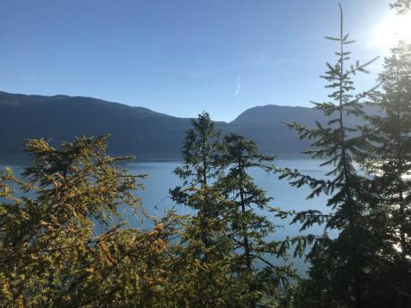 Waterfront Property / Acreage / Vacant Land For Sale in Nakusp, BC - 0 bdrm, 0 bath (2024 15th Ave North)