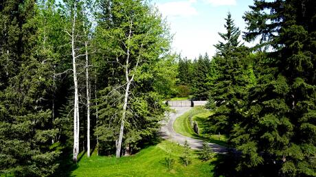 Vacant Land / Acreage For Sale in Bragg Creek, AB - 0 bdrm, 0 bath (215 Wintergreen Rd - W:5 R:5 T:23 S:13 Q:e)