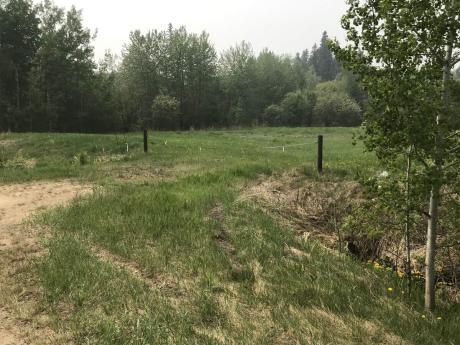 Vacant Land / Recreational Property For Sale in Mulhurst, AB - 0 bdrm, 0 bath (6801 - 50 Street)
